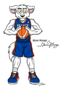 Asvel Basketball Jersey