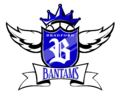 Bantams primary logo